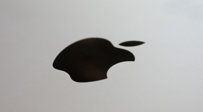 Apple Logo iPad 2