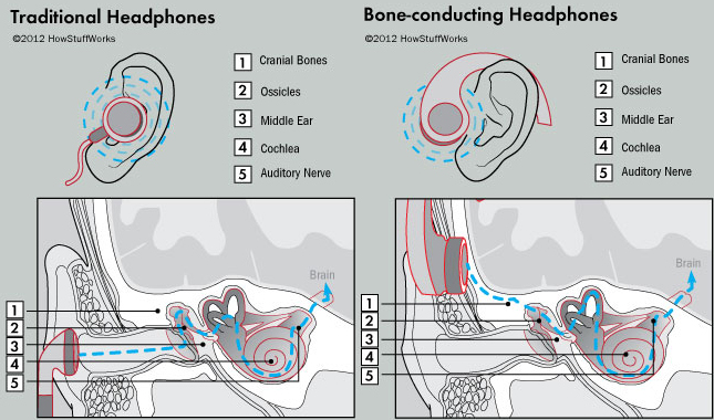 Bone conducting headphones