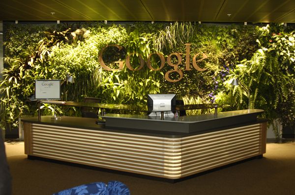Офис Google в Австралии. Джунгли